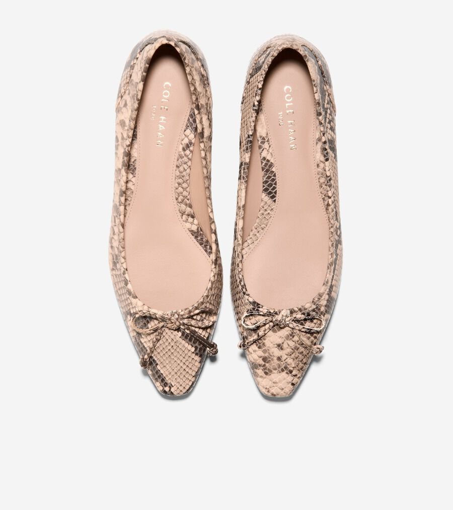 【Cole Haan】Chlea バレエ フラット Cole Haan Chlea Pointed Toe Ballet Flat (Women) | Nordstrom