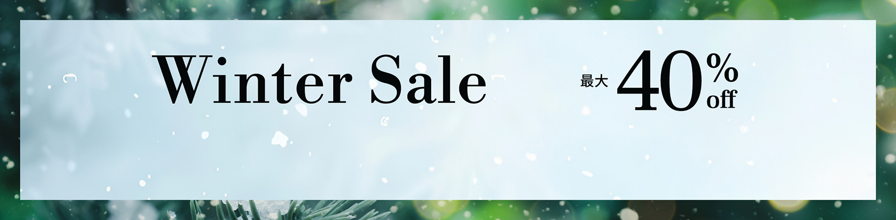 wintersale